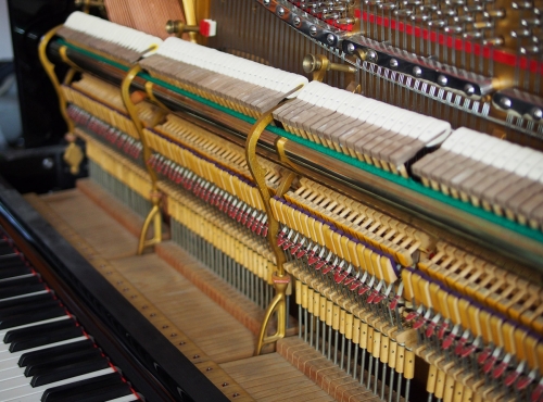 P5220494.jpg