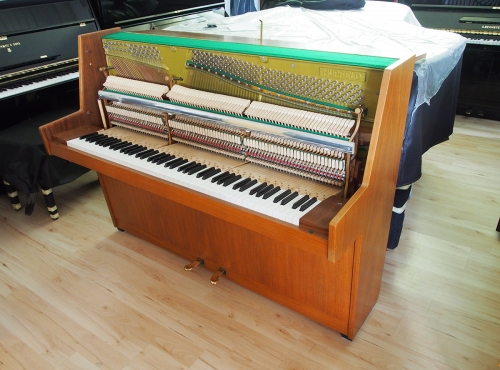 P5220590.jpg